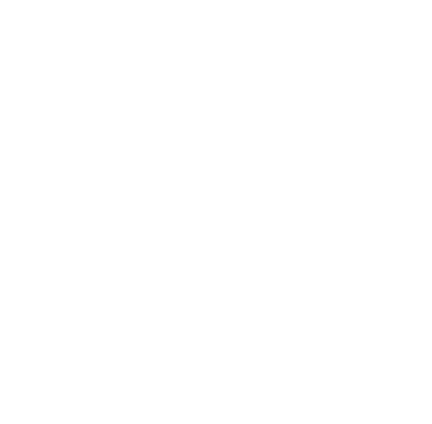 Austin Learnshop Logo